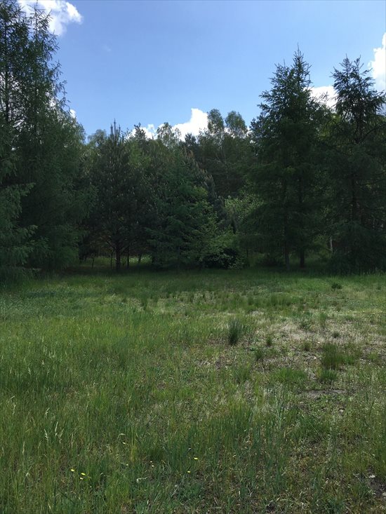 Dom na sprzedaż Rudniki, Rudniki 25 60m2 Foto 9