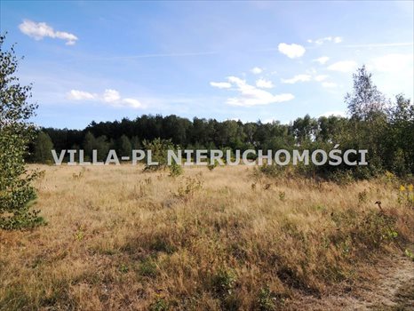 Działka budowlana na sprzedaż Dąbrówka Wielka 3 000m2 Foto 2
