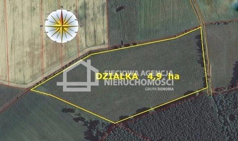 Działka leśna na sprzedaż Stare Gronowo 49 000m2 Foto 4
