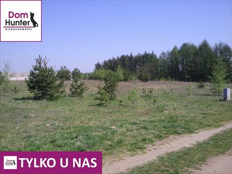 Działka budowlana na sprzedaż Gołubie 1 800m2 Foto 2