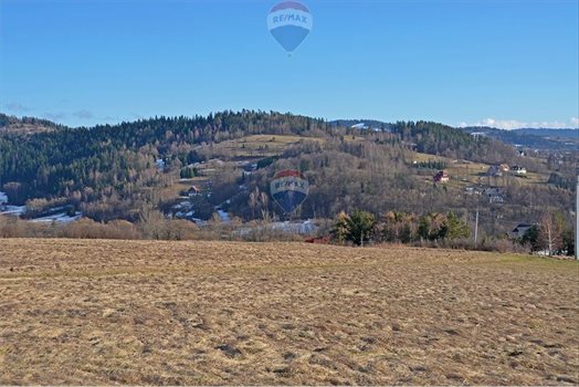 Działka budowlana na sprzedaż Rabka-Zdrój 4 480m2 Foto 13