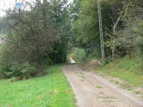 Działka budowlana na sprzedaż Kraków, Swoszowice, Golkowicka 5 000m2 Foto 5