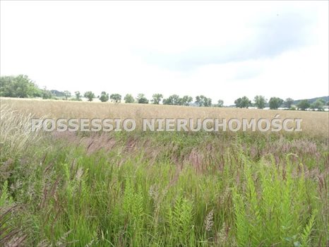 Dom na sprzedaż Strzegom 480m2 Foto 5