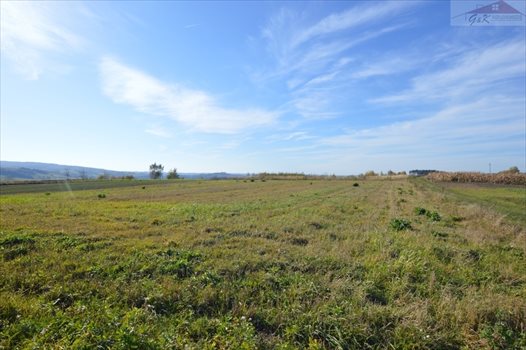 Działka rolna na sprzedaż Bachórzec 7 000m2 Foto 1