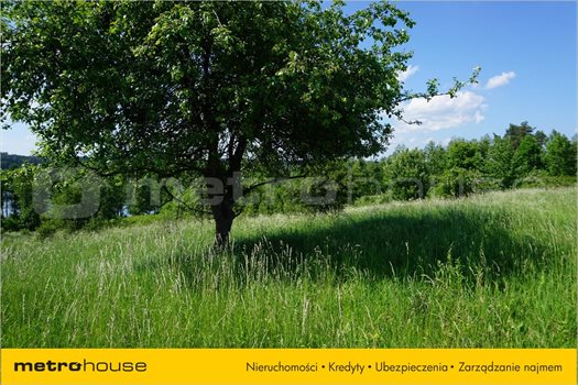 Działka siedliskowa na sprzedaż Ramsowo, Barczewo 12 729m2 Foto 5