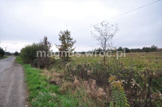 Działka budowlana na sprzedaż Chrząstawa Wielka 1 126m2 Foto 3