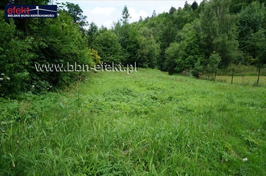 Działka inna na sprzedaż Bielsko-Biała, Straconka 2 295m2 Foto 5