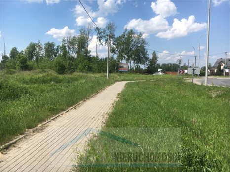 Działka przemysłowo-handlowa na sprzedaż Emilianów, wjazd z węzła trasy S8 Wola Rasztowska 56 264m2 Foto 5