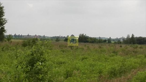 Działka budowlana na sprzedaż Nowe Racibory 15 000m2 Foto 3