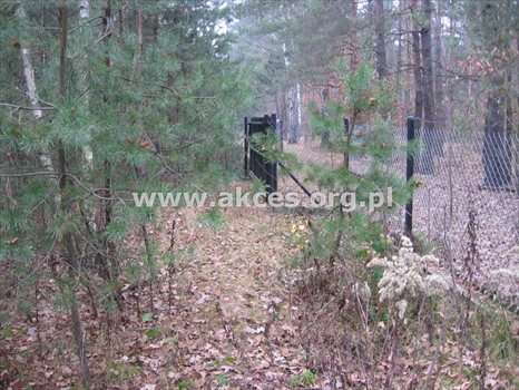Działka inna na sprzedaż Otwock, Centrum 2 196m2 Foto 1