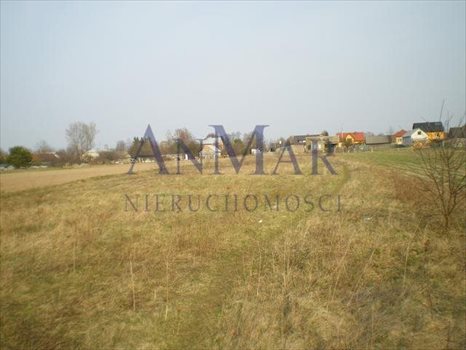 Działka rekreacyjna na sprzedaż Pogorzelec 2 824m2 Foto 2