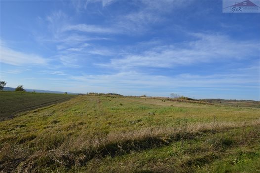 Działka rolna na sprzedaż Bachórzec 7 000m2 Foto 2
