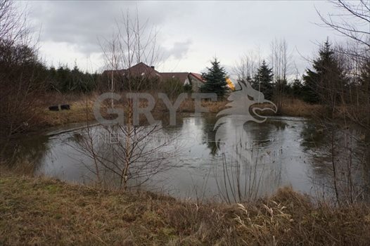 Działka inna na sprzedaż Wielichowo 5 600m2 Foto 8