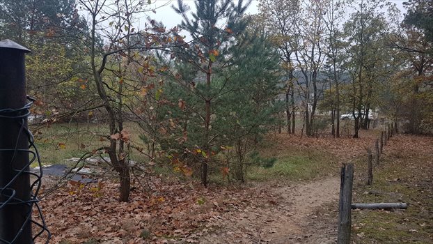 Działka budowlana na sprzedaż Warszawa, Wawer, Barwinkowa 1 844m2 Foto 1