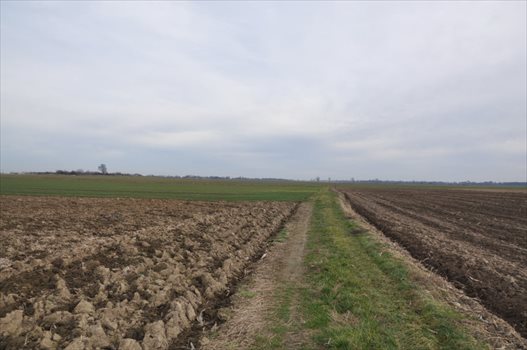 Działka budowlana na sprzedaż Rogów Sobócki, Słoneczna 1 299m2 Foto 7