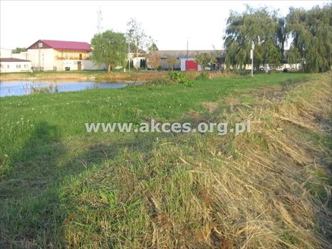 Działka budowlana na sprzedaż Nowa Wola 1 000m2 Foto 7