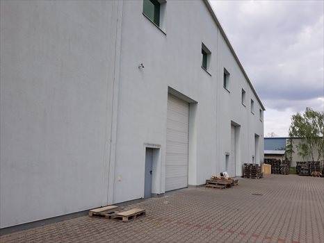 Lokal użytkowy na wynajem Namysłów 1 790m2 Foto 8