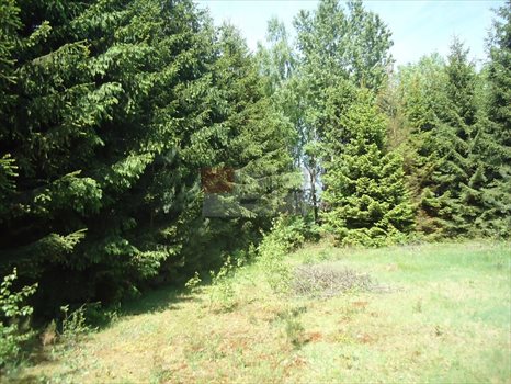 Działka inna na sprzedaż Biały Ług 4 100m2 Foto 4