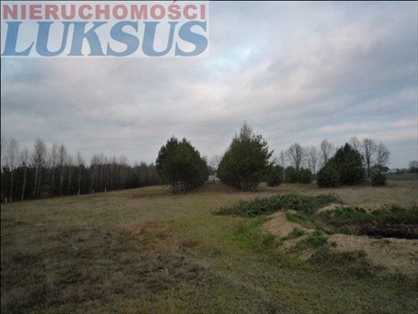 Działka budowlana pod dzierżawę Biały Ług, Biały Ług 12 300m2 Foto 10