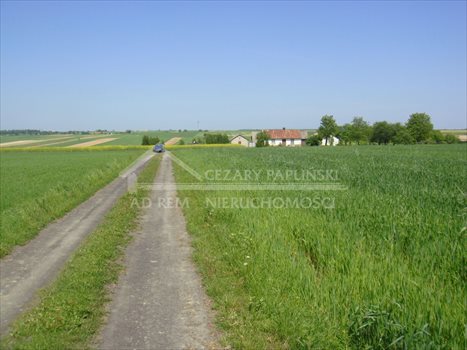 Działka budowlana na sprzedaż Majdan Mętowski, Majdan Mętowski 900m2 Foto 5
