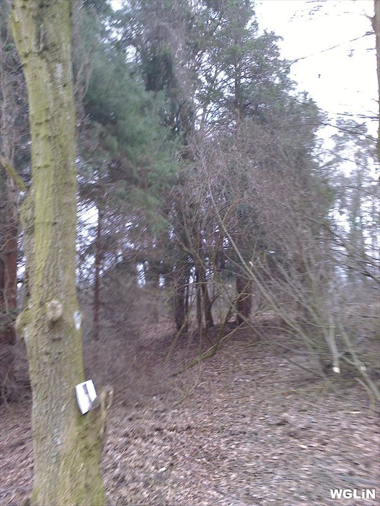 Działka budowlana na sprzedaż Kazimierz Dolny, 800m od Rynku w Kazimierzu Dolnym 28 376m2 Foto 1