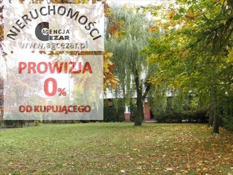 Lokal użytkowy na sprzedaż Mińsk Mazowiecki 2 122m2 Foto 9