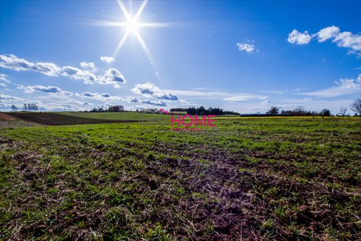 Działka budowlana na sprzedaż Błędowa Zgłobieńska 5 000m2 Foto 3