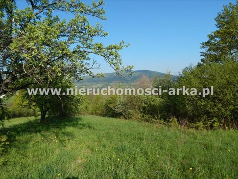 Działka budowlana na sprzedaż Skrzydlna 16 900m2 Foto 8