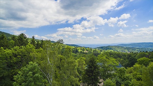 Forest Ski Hotel**** Szklarska Poręba, Osiedle Podgórze Foto 4