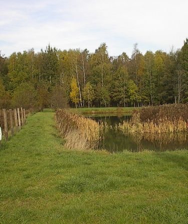 Działka budowlana na sprzedaż Oborniki Śląskie, Siemianice 5 000m2 Foto 7
