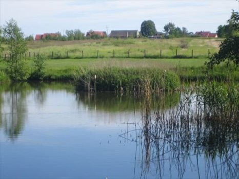 Działka budowlana na sprzedaż Oborniki Śląskie, Siemianice 5 000m2 Foto 10