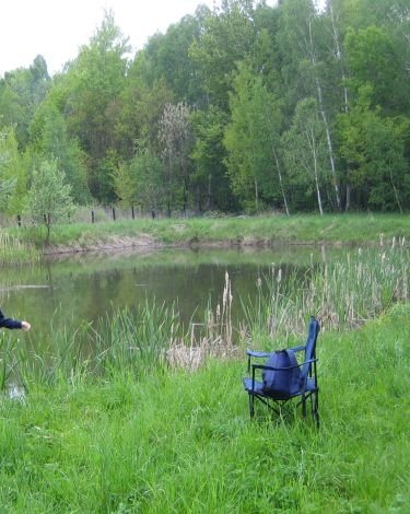 Działka budowlana na sprzedaż Oborniki Śląskie, Siemianice 5 000m2 Foto 8