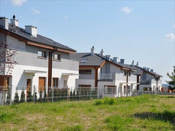 Lubczykowa Góra Poznań, Arnikowa Foto 6