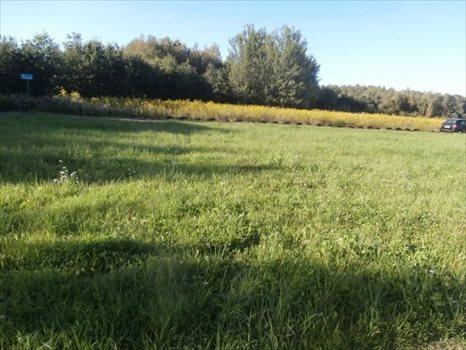 Działka budowlana na sprzedaż Uszczyn, Poniatów, Piotrków Trybunalski 785m2 Foto 2