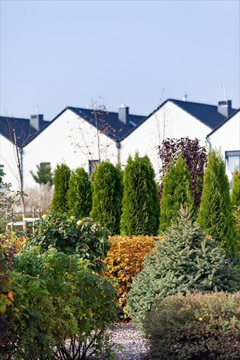 Małe Wilczyce Wilczyce, Radosna, Urocza, Szczęśliwa, Foto 11