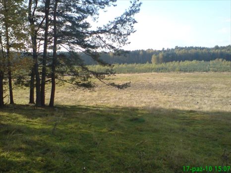 Działka budowlana na sprzedaż Wołowe Lasy N/Notecią, gm. Człopa 1 500m2 Foto 3