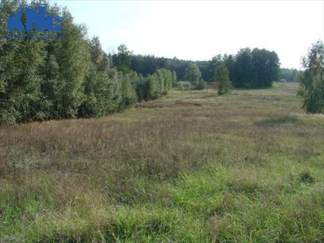 Działka budowlana na sprzedaż Kałek, Włodzimierzów, Piotrków Trybunalski Foto 1