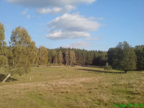 Działka budowlana na sprzedaż Wołowe Lasy N/Notecią, gm. Człopa 1 500m2 Foto 4