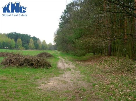 Działka rekreacyjna na sprzedaż Barkowice Mokre 1 059m2 Foto 3