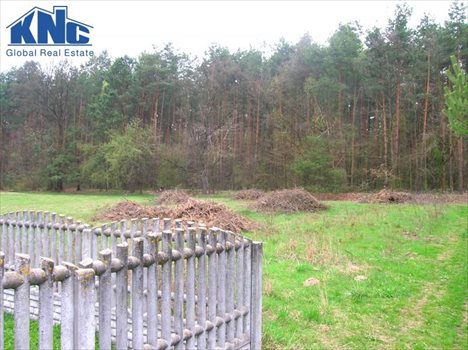 Działka rekreacyjna na sprzedaż Barkowice Mokre 1 059m2 Foto 2