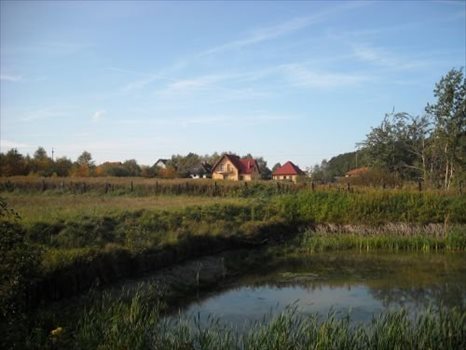 Działka budowlana na sprzedaż Oborniki Śląskie, Siemianice 5 000m2 Foto 4