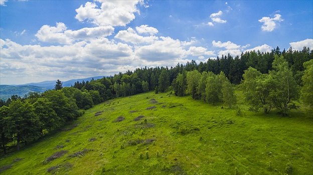 Forest Ski Hotel**** Szklarska Poręba, Osiedle Podgórze Foto 5