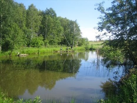 Działka budowlana na sprzedaż Oborniki Śląskie, Siemianice 5 000m2 Foto 9