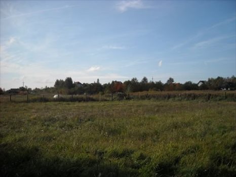 Działka budowlana na sprzedaż Oborniki Śląskie, Siemianice 5 000m2 Foto 2