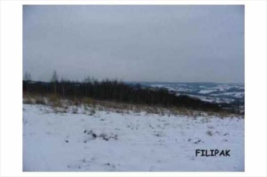 Działka budowlana na sprzedaż Rzeszów, Budziwój 2 700m2 Foto 3