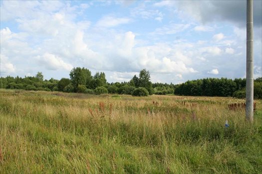 Działka na sprzedaż Podolany, Podolany 4 000m2 Foto 2