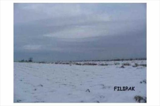 Działka budowlana na sprzedaż Rzeszów, Budziwój 2 700m2 Foto 4