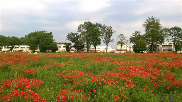 Nowe mieszkanie trzypokojowe Leśna Polana Dopiewiec, Promenada 5 52m2 Foto 10