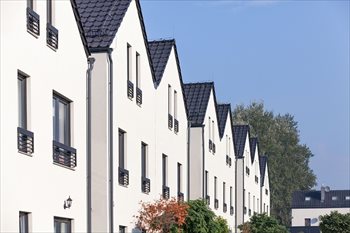 Małe Wilczyce Wilczyce, Radosna, Urocza, Szczęśliwa, Foto 4