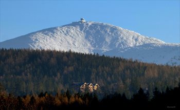 Nowe mieszkanie dwupokojowe Seidorf Mountain Resort***** Apartamenty Kazalnica - ostatni IV etap sprzedaży Sosnówka, Liczyrzepy 80B 39m2 Foto 8